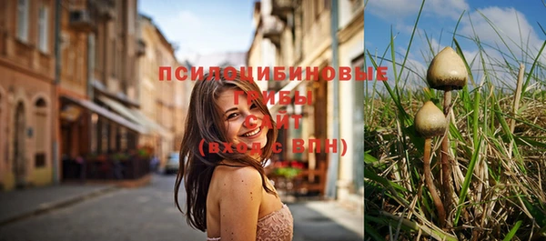 а пвп мука Алзамай