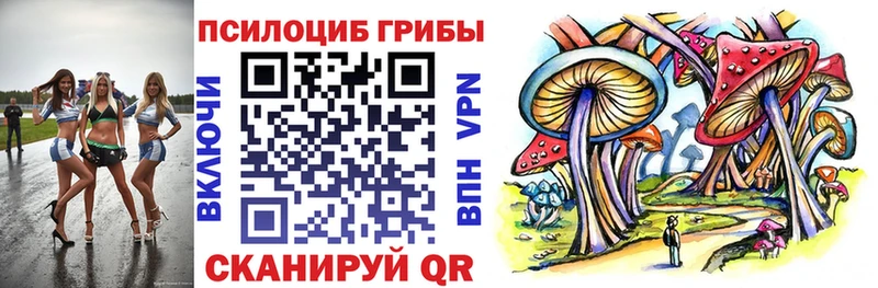 Галлюциногенные грибы Psilocybe  OMG tor  Асино  где купить наркоту 